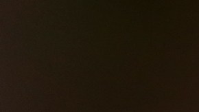 Blue demostró ser todo un verdadero héroe de familia