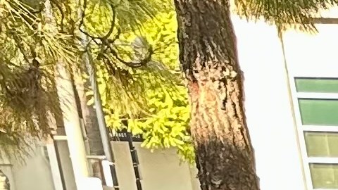 Dos familias inmigrantes de Colombia están desesperadas en busca de un techo. (Araceli Martínez/La Opinión)