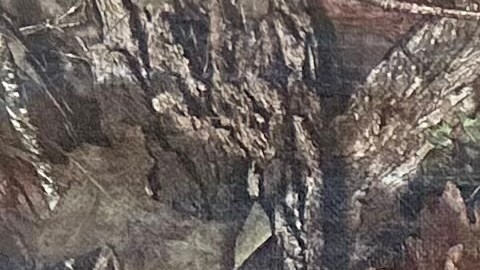 El oaxaqueño Aquilino García Pérez abrió su negocio de pollos asados al que pone por nombre Asadero Perrón. (Araceli Martínez/La Opinion)