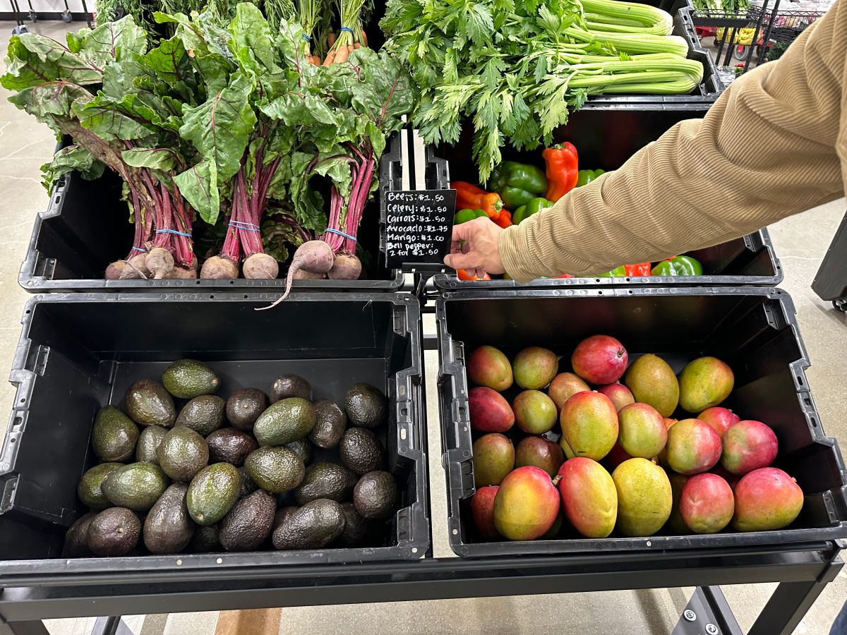  Báscula de alimentos de 22 libras de peso, báscula