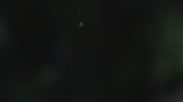 Cuauhtémoc Blanco durante un partido de la Liga MX sub - 20 en 2022.