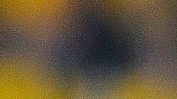 Gignac tuvo que ser sustituido del partido.