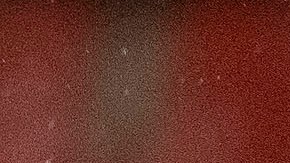 Jesús Gallardo celebra un gol de la Selección Mexicana.