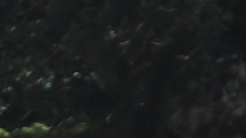 Entrenamiento de pretemporada de las Chivas.