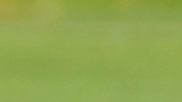 Veljko Paunovic, entrenador de las Chivas.