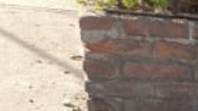 Indigente en México