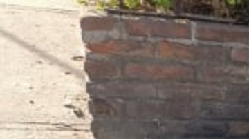 Indigente en México