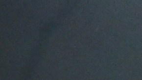 Japón celebra la victoria contra España.