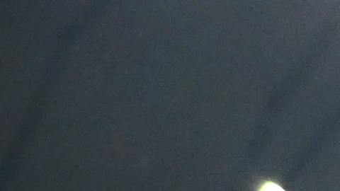 Japón celebra la victoria contra España.