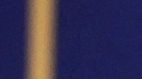 Joe Biden animó al Team USA durante su participación en el Mundial Qatar 2022.