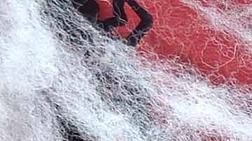 Juan Vidal disfrazado de mosquetero.