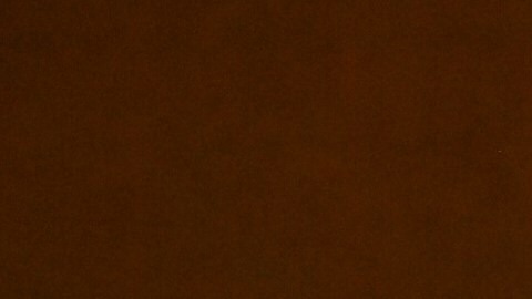 Kirstie Alley y John Travolta en un evento en California en agosto.