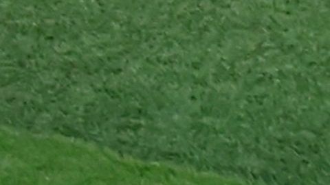 La polémica jugada que inició el segundo gol de Japón.