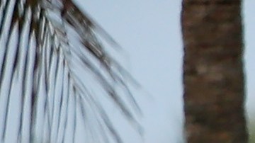 Latina hallada muerta en habitación de hotel de Miami Beach con la puerta bloqueada por colchón