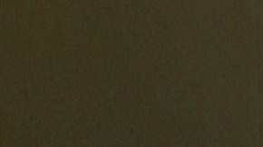 Manelyk González saltó a la fama después de su participación en el Reality Show Acapulco Shore