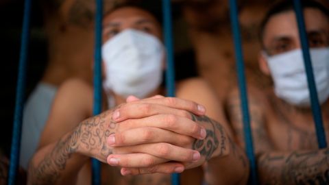 Mara Salvatrucha
