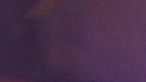 Marroquíes causaron disturbios en Bruselas celebrando el triunfo en el Mundial.