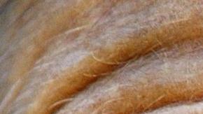 Más del 34% de los adultos mayores de Latinoamérica no percibe ningún ingreso