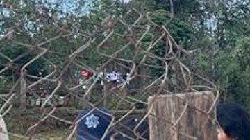 Masacre en Guerrero
