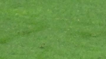 Mislav Orsic anotó el gol de la diferencia contra Marruecos.