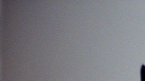 Mortífera mamba negra emerge del árbol de Navidad en una fiesta familiar en Sudáfrica