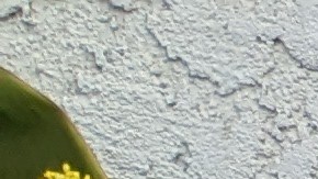 Vanessa tenía 36 años y su hija Kayla, 12.