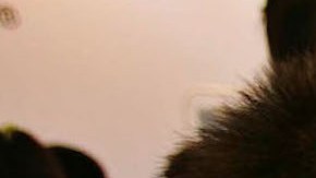 Padres contratan a experto jugador para vencer a sus hijos