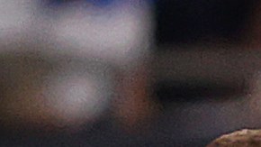 Países Bajos celebró su pase ante Estados Unidos.