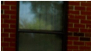 Evitar que tu parabrisas llegue a condiciones críticas puede resultar sencillo y práctico siempre y cuando sigas estos consejos