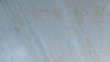 Pastor sudafricano cobra más de mil dólares por "ver a Dios en el cielo”