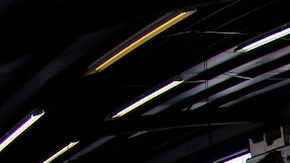 Perrita que inspiró el meme doge se recupera