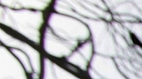 Persona hallada muerta en las montañas de Santa Mónica sobre Malibú fue identificada como mujer transgénero de 27 años