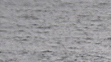 Piloto novato presume su primer vuelo y muere al estrellarse junto con su familia en el Golfo de México