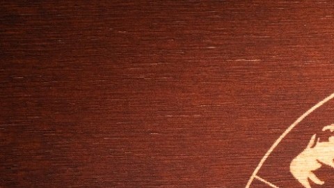 Conoce el Horóscopo Chino para tu signo