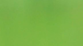 Rescatan a un niño de 2 años tras ser engullido parcialmente por un hipopótamo