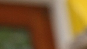 Salud dental en el mundo