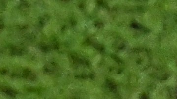 Scaloni y Deschamps están listos para la final del Mundial Qatar 2022.