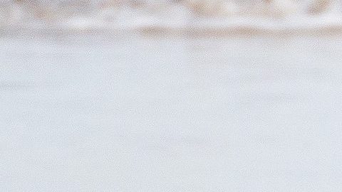 Shakira y su entrenador de surf en una playa de Cantabria, España.