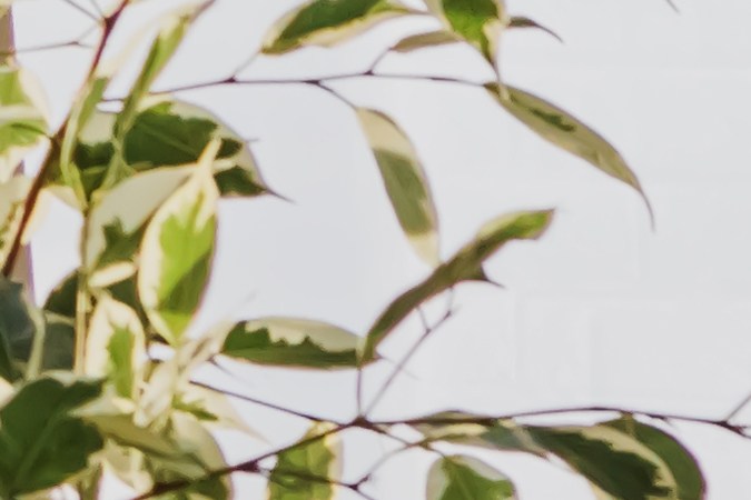 Sunny Health & Fitness