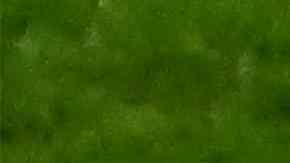 Japón le dio vuelta el resultado a España.