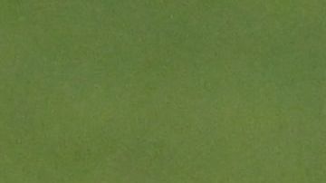 Tite, seleccionador de Brasil.