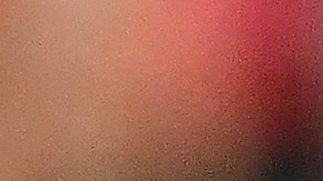 Tom Brady jugaría otra temporada en la NFL.