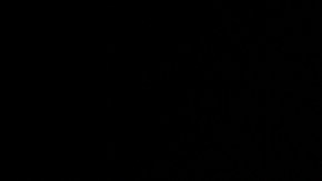 Tras falla, cohete espacial europeo se autodestruye con dos satélites a bordo