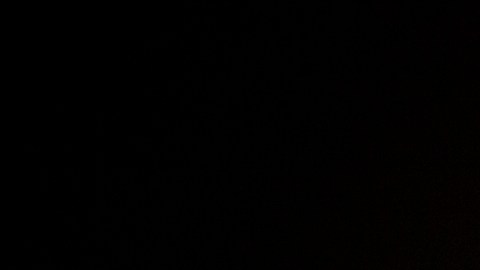 Tras falla, cohete espacial europeo se autodestruye con dos satélites a bordo