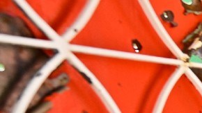 Violencia en Zacatecas