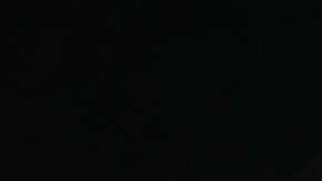 Zlatko Dalic DT de Croacia.