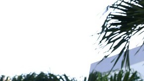 Imagen de un letrero de oferta de alquiler en color blanco, en medio de un jardín.