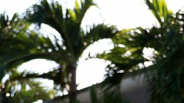 Imagen de un letrero de alquiler colocado frente a un apartamento.