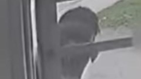 Captura del video del ataque.