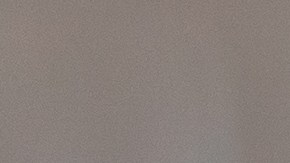 beneficios de tener mascotas en casa